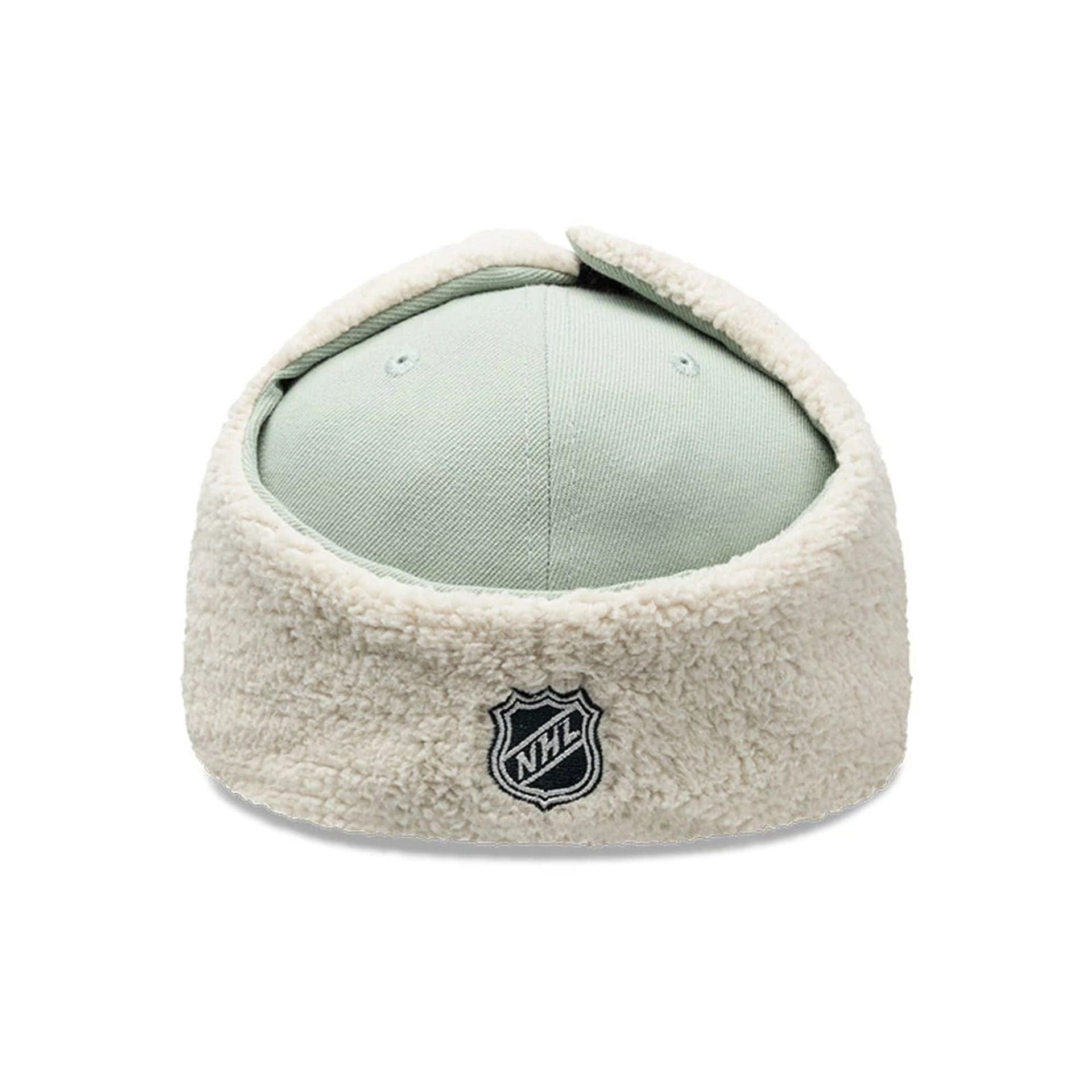 Anaheim Ducks NHL Patch Pastel Green Dogear 59FIFTY Fitted Cap